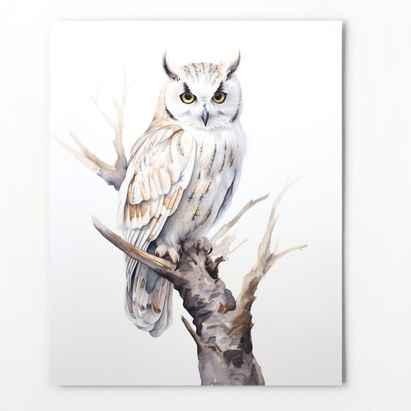 Watercolor White Owl Portrait Wall Art Illustration Print Poster Unframed - Picture 6 of 6